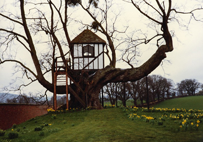 Different Kinds of Tree Houses